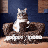 a cat sits on a chair made out of coffee beans