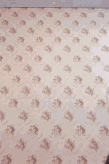 a blurry picture of a woman in front of a wall with floral wallpaper