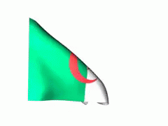 algeria flag windy algerian flag