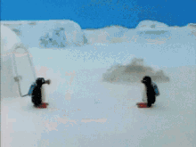 Pingu Pingu Noot GIF - Pingu Pingu Noot Noot Noot GIFs