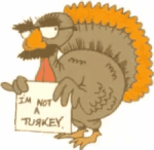 tofurky im not a turkey