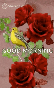 Good Morning Birds GIF - Good Morning Birds Flower GIFs