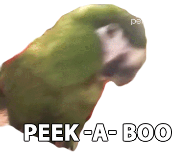 Peek A Boo The Pet Collective Sticker - Peek A Boo The Pet Collective Parrot Stickers