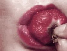 Lips Strawberry GIF