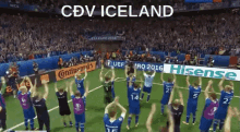 Cđv Iceland GIF