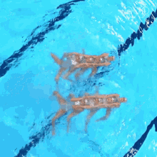 backstroke olympics performing choreography artistic swimming