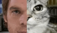 a close up of a man 's face next to a cat 's face .