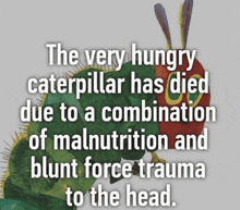 Hungry Very Hungry Caterpillar GIF