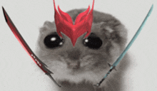 a hamster wearing a red helmet and two swords on its head