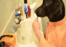 Dog Brush GIF - Dog Brush Teeth GIFs