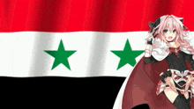 Syria Flag GIF - Syria Flag Femboy GIFs