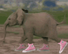 running elephant