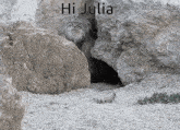 Julia Hi GIF