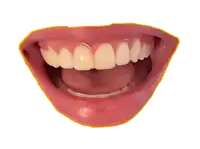 a close up of a woman 's mouth with a yellow outline around the teeth