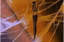 a close up of a spider web with a sword in the middle of it .