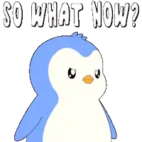a blue and white penguin with the words " so what now " above it