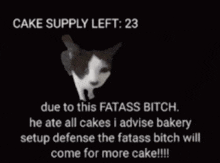 Cake Supply Alert GIF - Cake Supply Alert GIFs