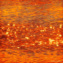 Orange Sea GIF