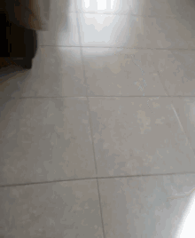 a close up of a white wooden floor