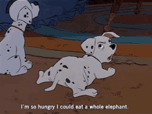 Dalmatian Im So Hungry GIF - Dalmatian Im So Hungry Dog GIFs
