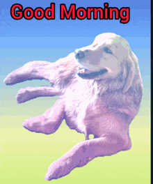a picture of a dog with the words " good morning " above it