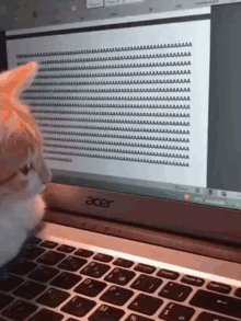GIF