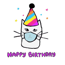 happy birthday party hat celebrate cat face mask