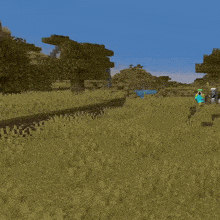 a minecraft character with a skull on his shirt carrying a wooden shield