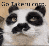 a black and white cat with the words " go takeru corp " written above it
