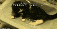 a black and white cat is taking a bath in a sink with the words water car 5 above it
