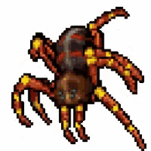 tibia giant spider gs