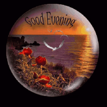 Good Evening Sunset GIF - Good Evening Sunset Dove GIFs
