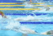游水 游泳 比赛 GIF