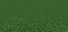 Roblox Grass GIF