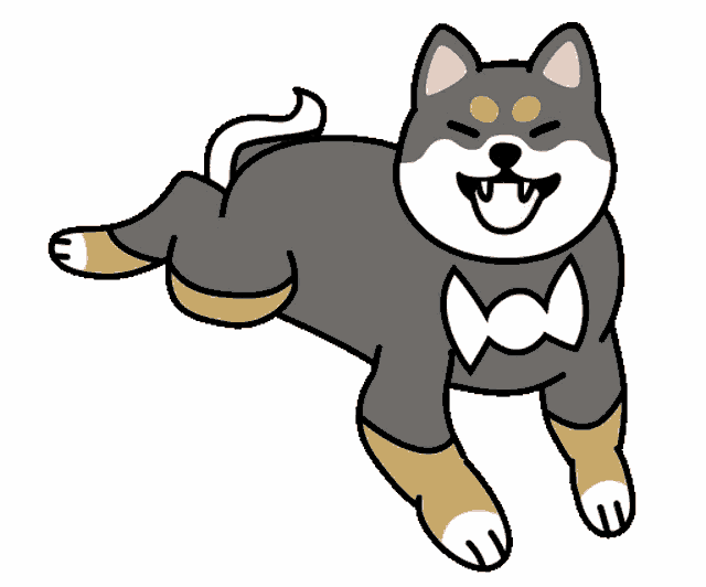 Kuro shiba 2024