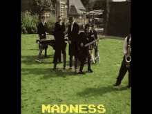 Madness Madness Band GIF - Madness Madness Band Madness Uk GIFs