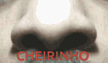 Cheirinho Smelling GIF - Cheirinho Smelling Sniff GIFs