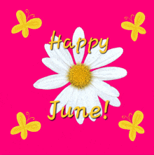 Happy June Month Of June GIF - Happy June Month Of June New Month Wishes GIFs