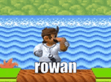 a video game character with the name rowan written on it