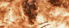 a skull is surrounded by flames and smoke