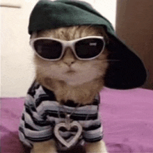 a cat wearing a hat , sunglasses , and a heart necklace is sitting on a bed .