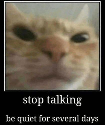 shut up cat meme