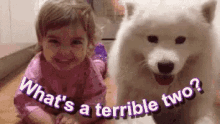 Terrible Twos Cute GIF - Terrible Twos Cute Funny Animals GIFs