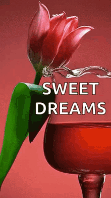 Sweet Dreams Flower GIF - Sweet Dreams Flower Goodnight GIFs