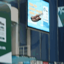 Tom Daley Diving GIF - Tom Daley Diving GIFs