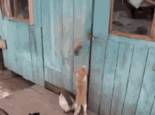:O GIF - Cat Burglars Open Door GIFs