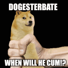 Doge Dogesterbate GIF - Doge Dogesterbate Cum GIFs