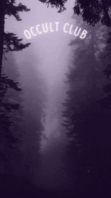 a foggy forest with the words occult club written on the top