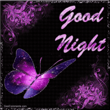 good night butterfly flower sparkle glitter