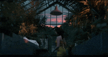 a woman in a yellow dress walks through a greenhouse
